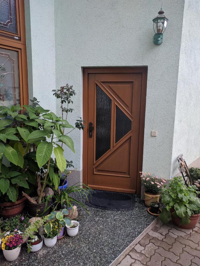 Ferienhaus Johanna & Ferienwohnung Thum Weischlitz Екстериор снимка